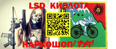 крисы Кунгур