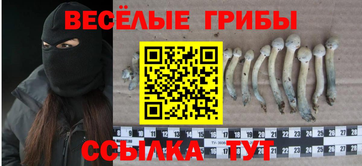 Псилоцибиновые грибы прущие грибы Дзержинский