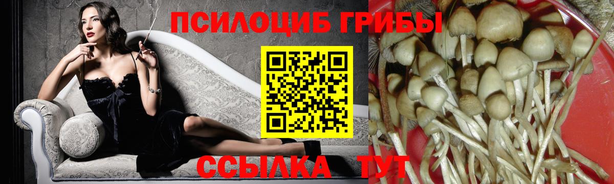 Дзержинский  Псилоцибиновые грибы мицелий  закладки  Вход с VPN 
